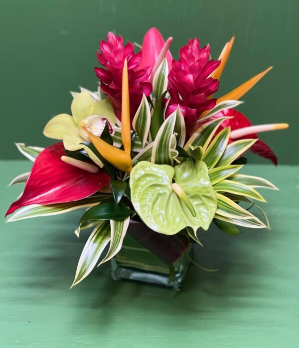 Tropical Cube arrangement