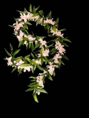 Ti Malie / White Orchid Twist lei