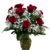 Medium Red Roses 2025